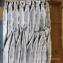 Frozen seafod pacific saury block whole round BQF 100%NW